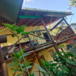 hotal-fazenda-a-venda-proximo-a-ilha-de-comandatuba-gilberico-corretor-de-imoveis-ba-0027