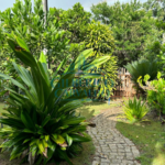 hotal-fazenda-a-venda-proximo-a-ilha-de-comandatuba-gilberico-corretor-de-imoveis-ba-004